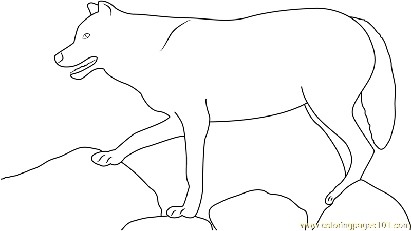 Wolf Standing On Rock Coloring Page - Free Wolf Coloring Pages