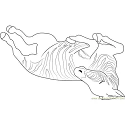 Zebra Sleeping Free Coloring Page for Kids
