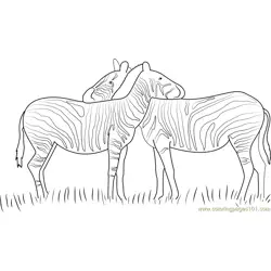 Zebras in Love Free Coloring Page for Kids