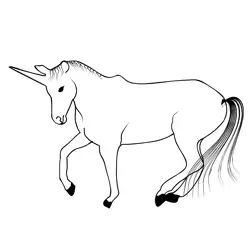Unicorn 35