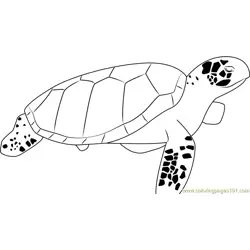 Sea Turtle Free Coloring Page for Kids