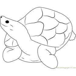 Sitting Turtle Free Coloring Page for Kids