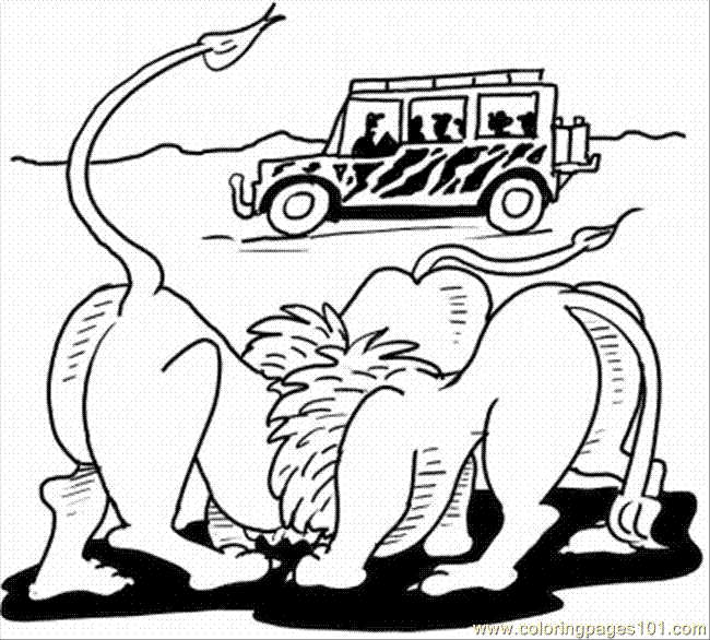 safari animal coloring pages free - photo #46
