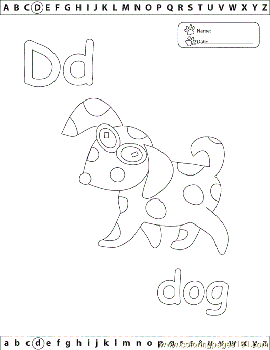 D Dog Edu