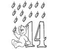 14 Babybear