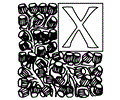 Alphabet (30)