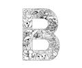 B