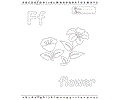 F Flower Edu