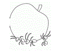 Ants eating