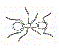 Ants