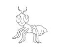 Ants