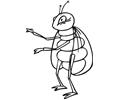 Ants