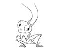 Ants