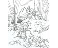 Ants
