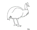 Australia Emu