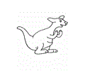 Australia Kangaroo2