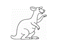 Australia Kangaroo