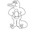 Australia Platypus