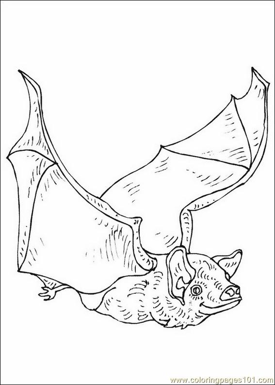 coloring-pages-bats-coloring-pages-016-animals-bats-free