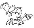Bats Enjoy With Happy Flying