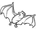 Bats