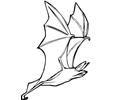 Bat Flying