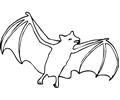Bats Enjoy With Happy