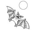 Bats and sun