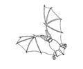 Bats flying