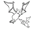 Bats