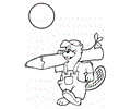Beaver