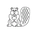 Beaver