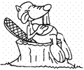 Beavers4