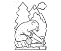 Beavers5
