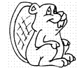Beavers7