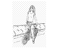 Coloringbarbiebike