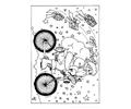 Nta On The Bicycle Source Oyo