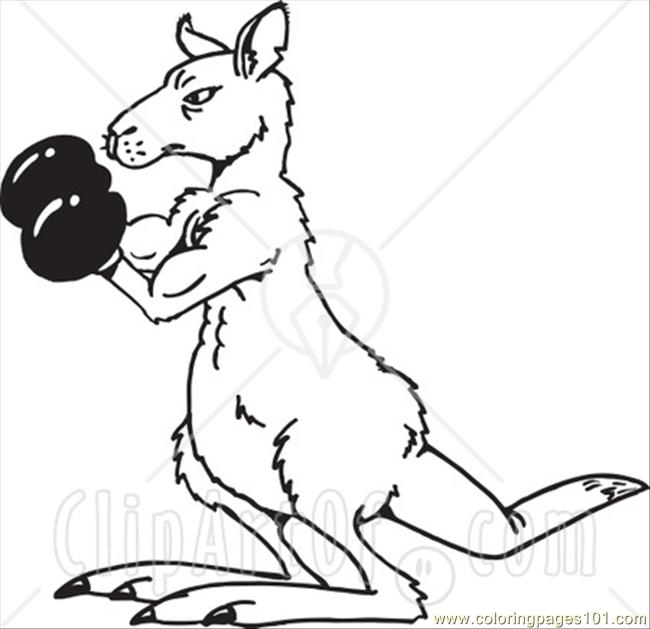 kangaroo boxing coloring pages - photo #2