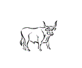 Ox 1