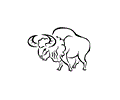 Ox