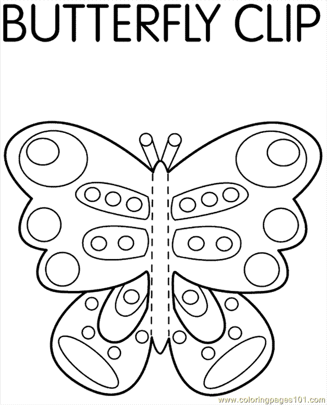 Butterflly