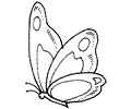 176 Butterfly5