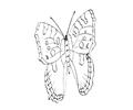 Butterflies027