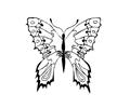 Butterflies093