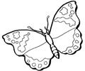Butterfly 12 Coloring Page