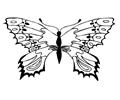 Butterfly94