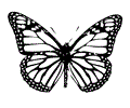Butterfly Coloring Page 004