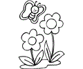 Butterfly Coloring Page 005