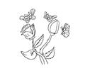 Butterfly Coloring Pages 2