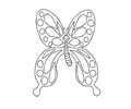 Butterfly dibujo
